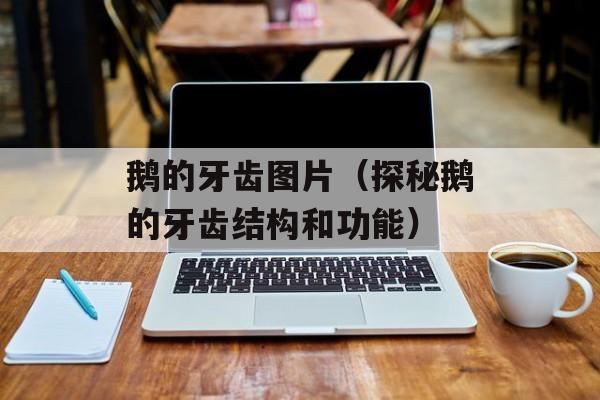 鹅的牙齿图片（探秘鹅的牙齿结构和功能）-第1张图片-