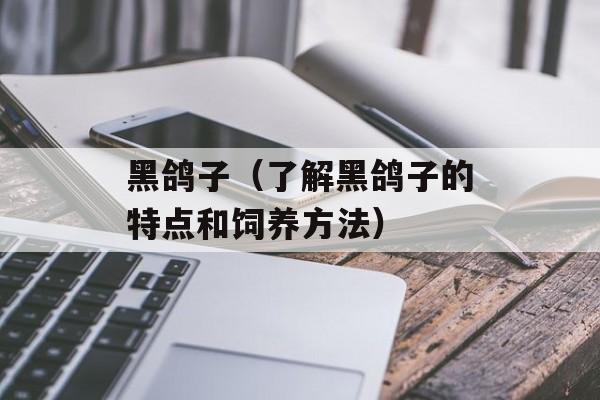 黑鸽子（了解黑鸽子的特点和饲养方法）-第1张图片-