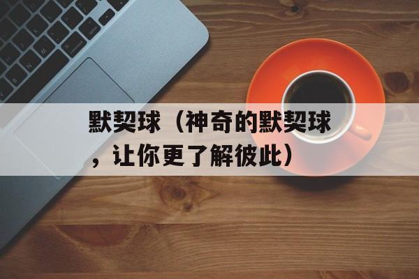 默契球（神奇的默契球，让你更了解彼此）-第1张图片-