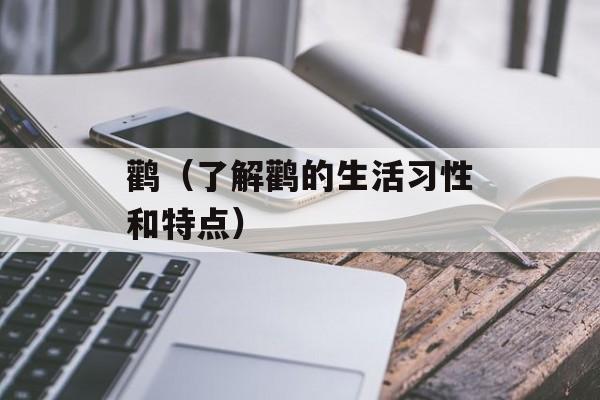 鹳（了解鹳的生活习性和特点）-第1张图片-