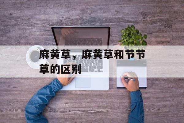 麻黄草，麻黄草和节节草的区别-第1张图片-