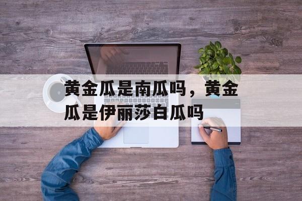 黄金瓜是南瓜吗，黄金瓜是伊丽莎白瓜吗-第1张图片-