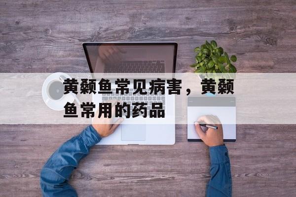 黄颡鱼常见病害，黄颡鱼常用的药品-第1张图片-