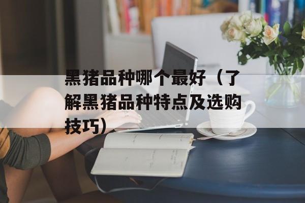 黑猪品种哪个最好（了解黑猪品种特点及选购技巧）-第1张图片-