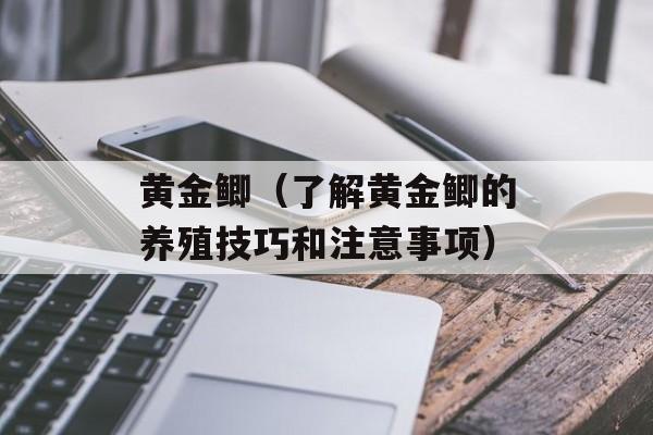 黄金鲫（了解黄金鲫的养殖技巧和注意事项）-第1张图片-