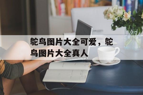 鸵鸟图片大全可爱，鸵鸟图片大全真人-第1张图片-