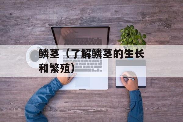 鳞茎（了解鳞茎的生长和繁殖）-第1张图片-