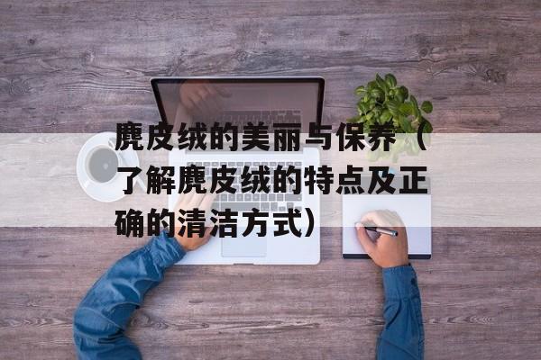 麂皮绒的美丽与保养（了解麂皮绒的特点及正确的清洁方式）-第1张图片-