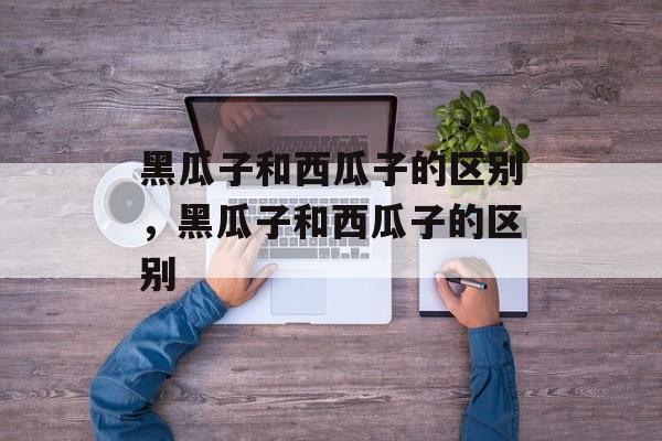 黑瓜子和西瓜子的区别，黑瓜子和西瓜子的区别-第1张图片-