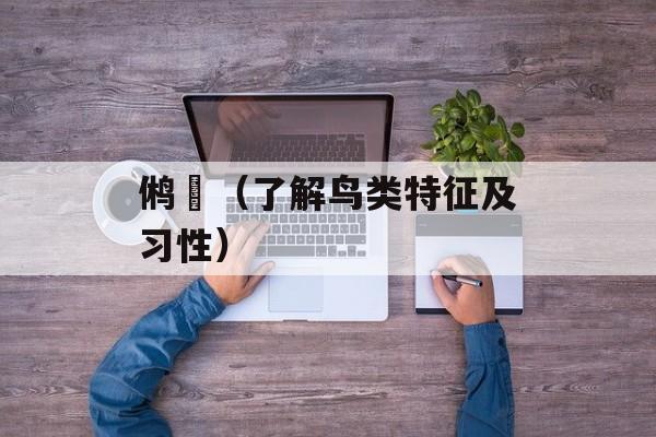 鸺鹠（了解鸟类特征及习性）-第1张图片-