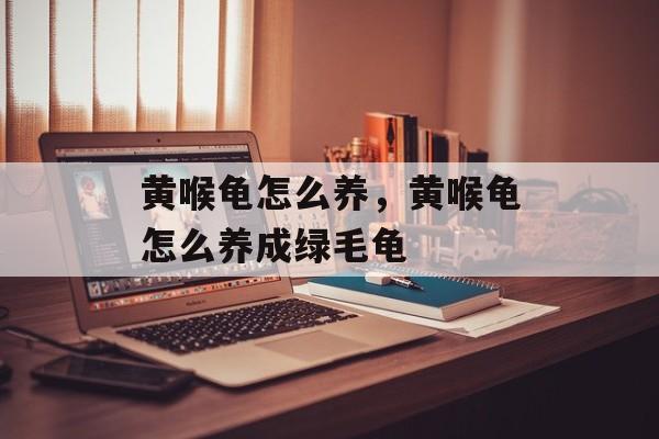 黄喉龟怎么养，黄喉龟怎么养成绿毛龟-第1张图片-
