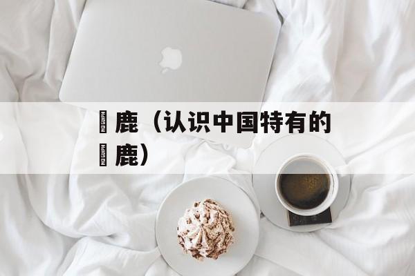 黇鹿（认识中国特有的黇鹿）-第1张图片-