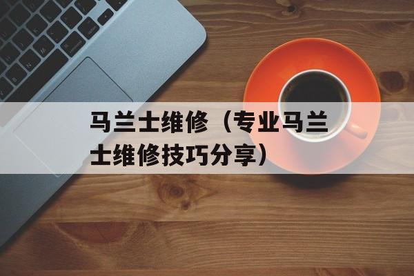 马兰士维修（专业马兰士维修技巧分享）-第1张图片-
