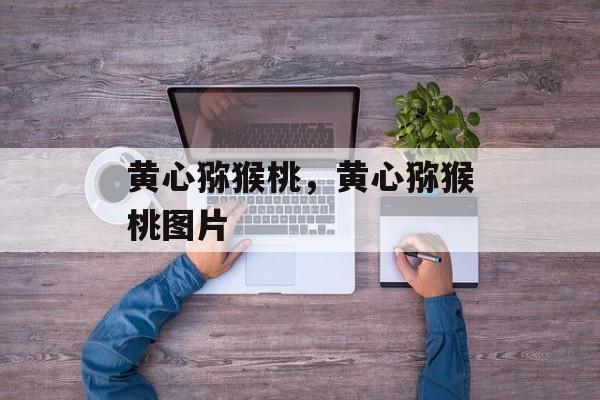 黄心猕猴桃，黄心猕猴桃图片-第1张图片-