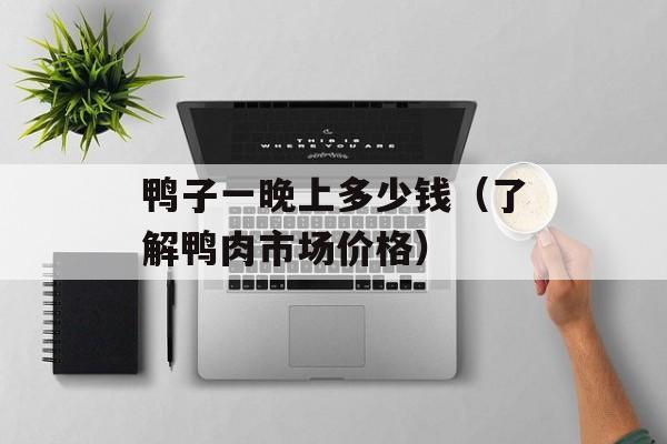 鸭子一晚上多少钱（了解鸭肉市场价格）-第1张图片-