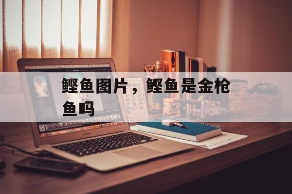 鲣鱼图片，鲣鱼是金枪鱼吗-第1张图片-