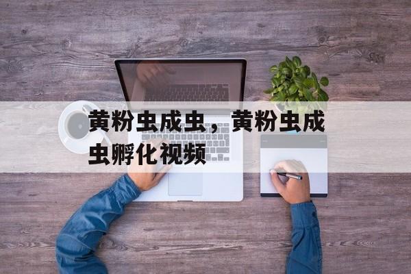 黄粉虫成虫，黄粉虫成虫孵化视频-第1张图片-
