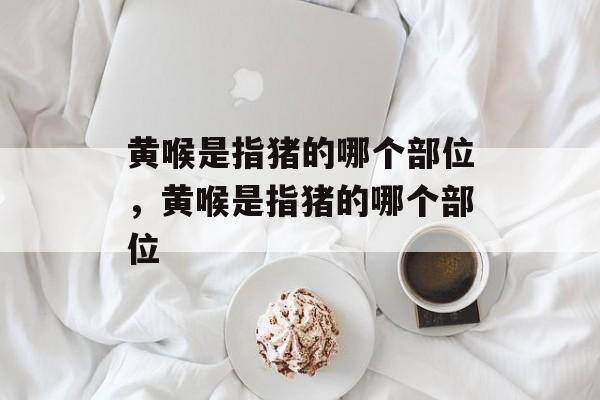 黄喉是指猪的哪个部位，黄喉是指猪的哪个部位-第1张图片-