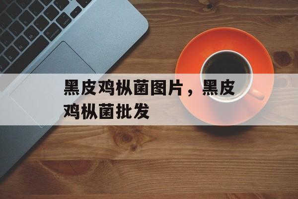 黑皮鸡枞菌图片，黑皮鸡枞菌批发-第1张图片-