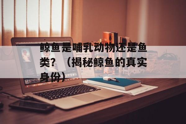 鲸鱼是哺乳动物还是鱼类？（揭秘鲸鱼的真实身份）-第1张图片-