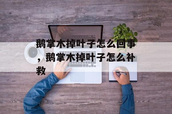 鹅掌木掉叶子怎么回事，鹅掌木掉叶子怎么补救-第1张图片-