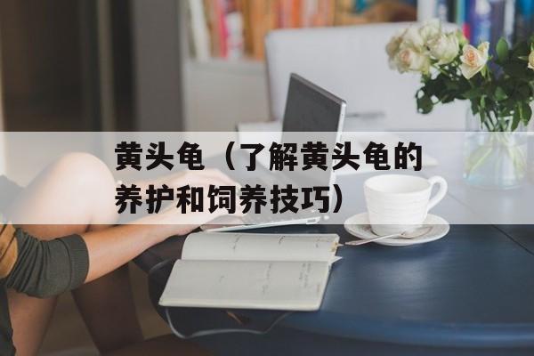 黄头龟（了解黄头龟的养护和饲养技巧）-第1张图片-