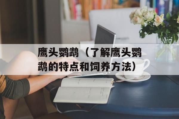 鹰头鹦鹉（了解鹰头鹦鹉的特点和饲养方法）-第1张图片-