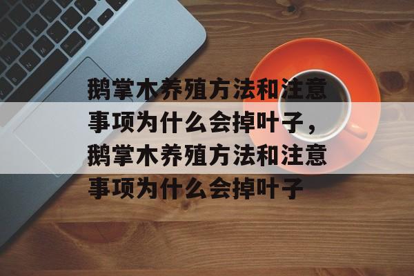 鹅掌木养殖方法和注意事项为什么会掉叶子，鹅掌木养殖方法和注意事项为什么会掉叶子-第1张图片-