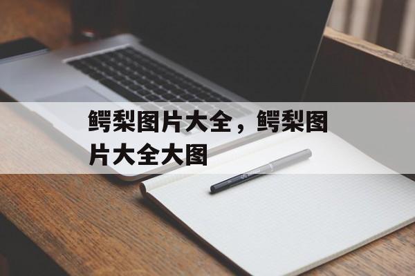 鳄梨图片大全，鳄梨图片大全大图-第1张图片-