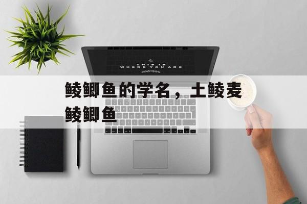 鲮鲫鱼的学名，土鲮麦鲮鲫鱼-第1张图片-