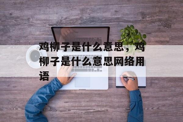 鸡柳子是什么意思，鸡柳子是什么意思网络用语-第1张图片-