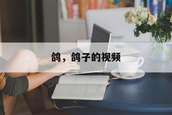 鸽，鸽子的视频-第1张图片-