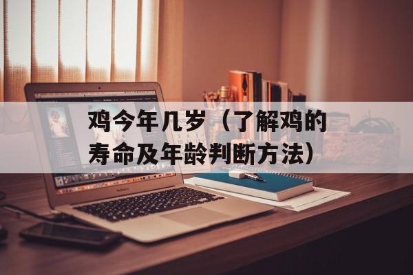 鸡今年几岁（了解鸡的寿命及年龄判断方法）-第1张图片-