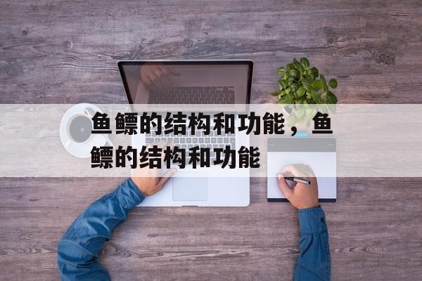 鱼鳔的结构和功能，鱼鳔的结构和功能-第1张图片-