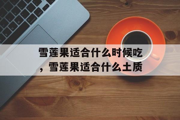 雪莲果适合什么时候吃，雪莲果适合什么土质-第1张图片-