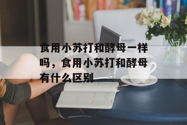食用小苏打和酵母一样吗，食用小苏打和酵母有什么区别-第1张图片-