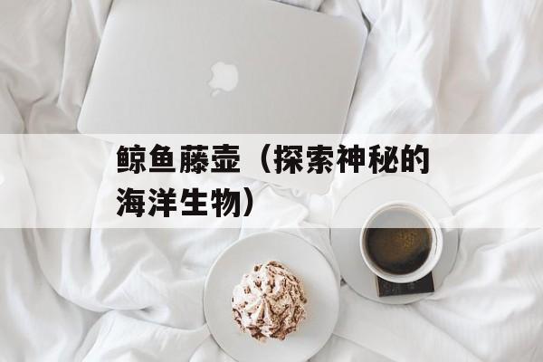 鲸鱼藤壶（探索神秘的海洋生物）-第1张图片-
