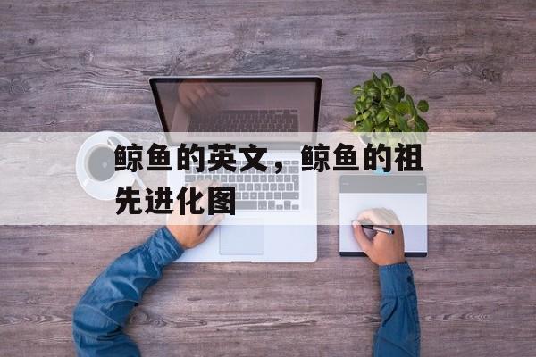 鲸鱼的英文，鲸鱼的祖先进化图-第1张图片-
