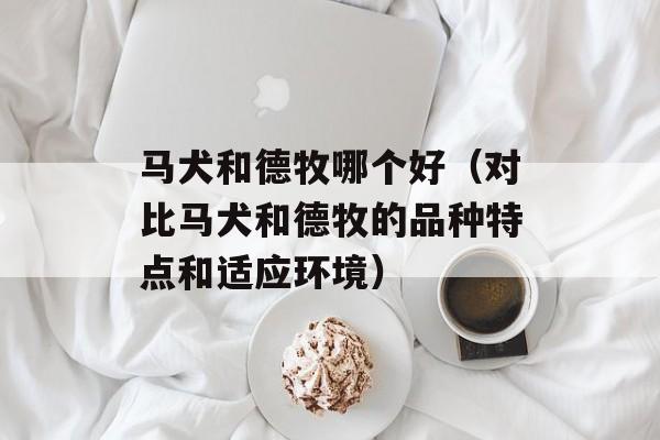 马犬和德牧哪个好（对比马犬和德牧的品种特点和适应环境）-第1张图片-