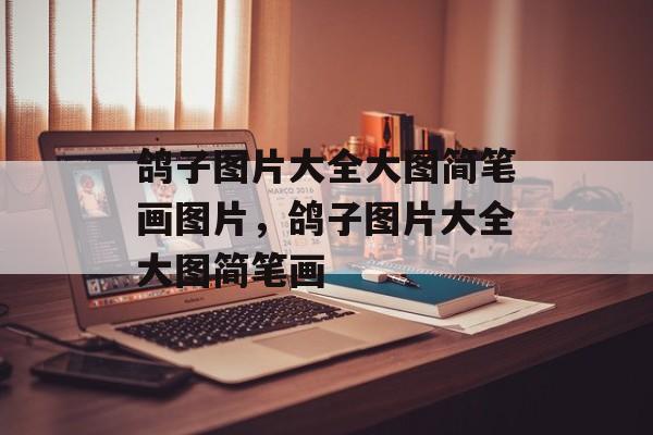 鸽子图片大全大图简笔画图片，鸽子图片大全大图简笔画-第1张图片-