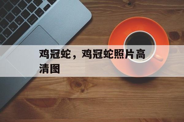 鸡冠蛇，鸡冠蛇照片高清图-第1张图片-