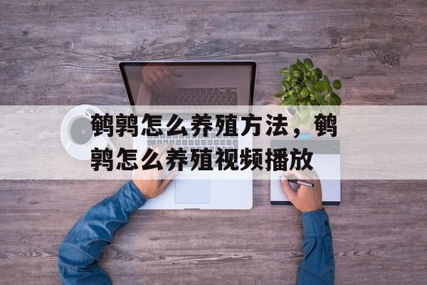 鹌鹑怎么养殖方法，鹌鹑怎么养殖视频播放-第1张图片-