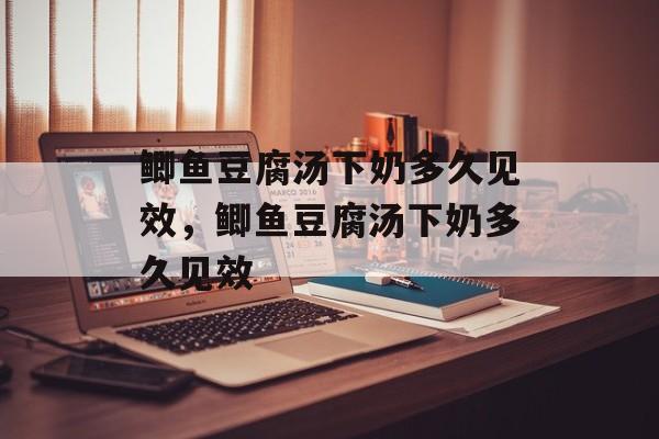 鲫鱼豆腐汤下奶多久见效，鲫鱼豆腐汤下奶多久见效-第1张图片-