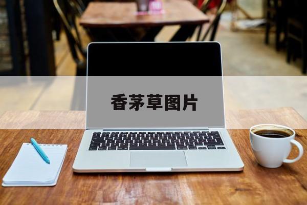 香茅草图片-第1张图片-