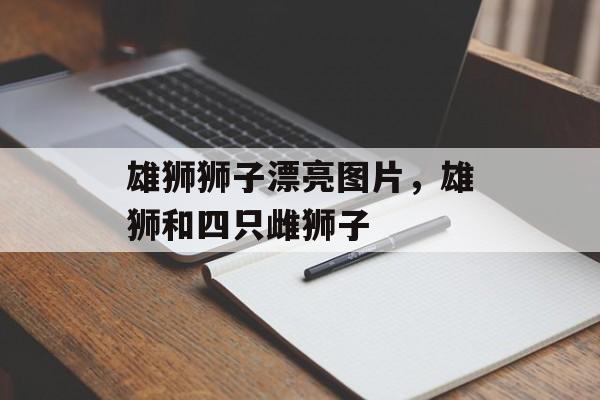 雄狮狮子漂亮图片，雄狮和四只雌狮子-第1张图片-