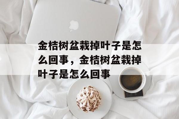 金桔树盆栽掉叶子是怎么回事，金桔树盆栽掉叶子是怎么回事-第1张图片-