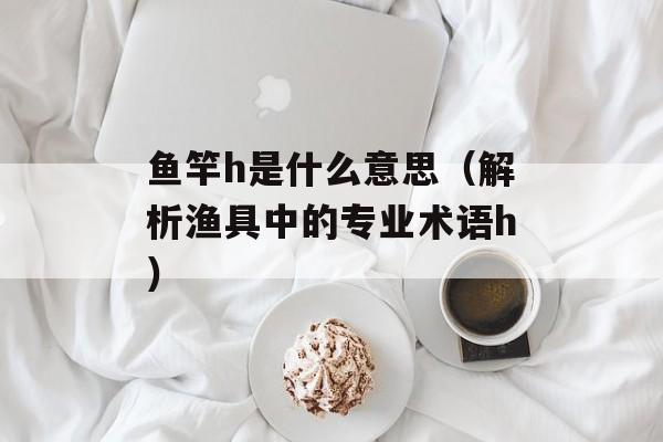 鱼竿h是什么意思（解析渔具中的专业术语h）-第1张图片-