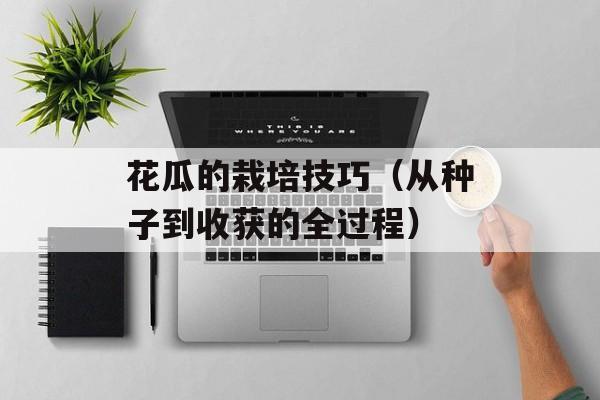 花瓜的栽培技巧（从种子到收获的全过程）-第1张图片-