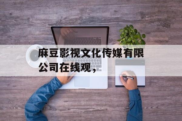 麻豆影视文化传媒有限公司在线观，-第1张图片-