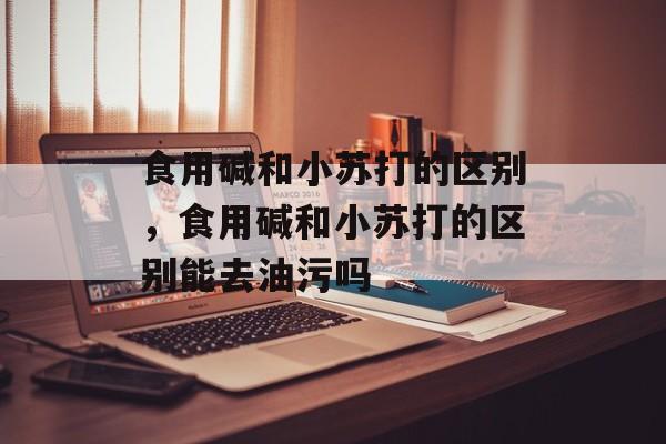 食用碱和小苏打的区别，食用碱和小苏打的区别能去油污吗-第1张图片-
